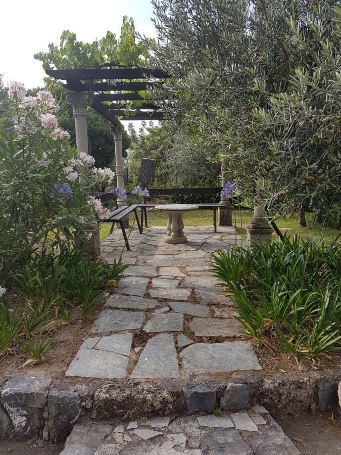 Villa Fior Di Lavanda Cisano sul Neva エクステリア 写真
