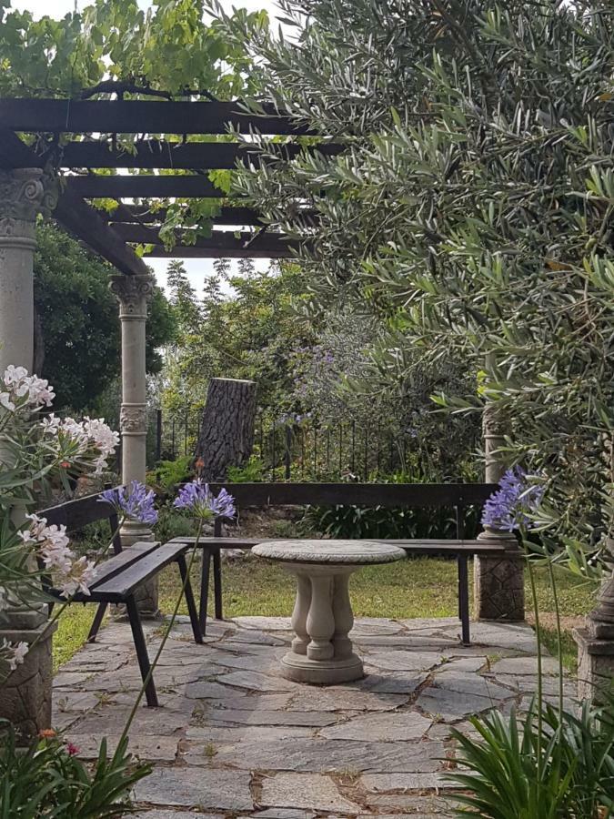 Villa Fior Di Lavanda Cisano sul Neva エクステリア 写真